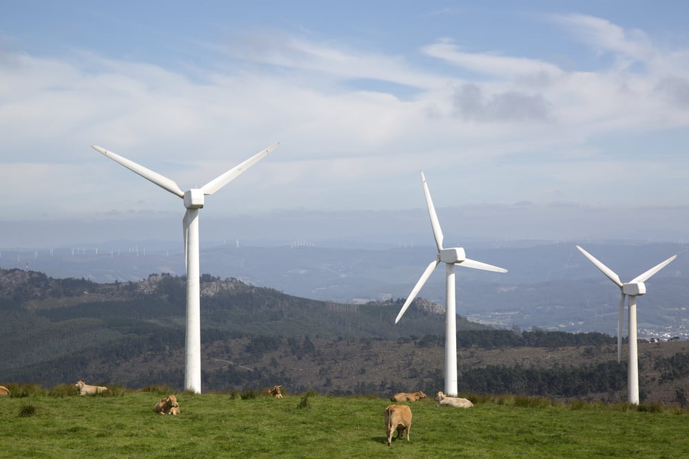 Energia odnawialna polska